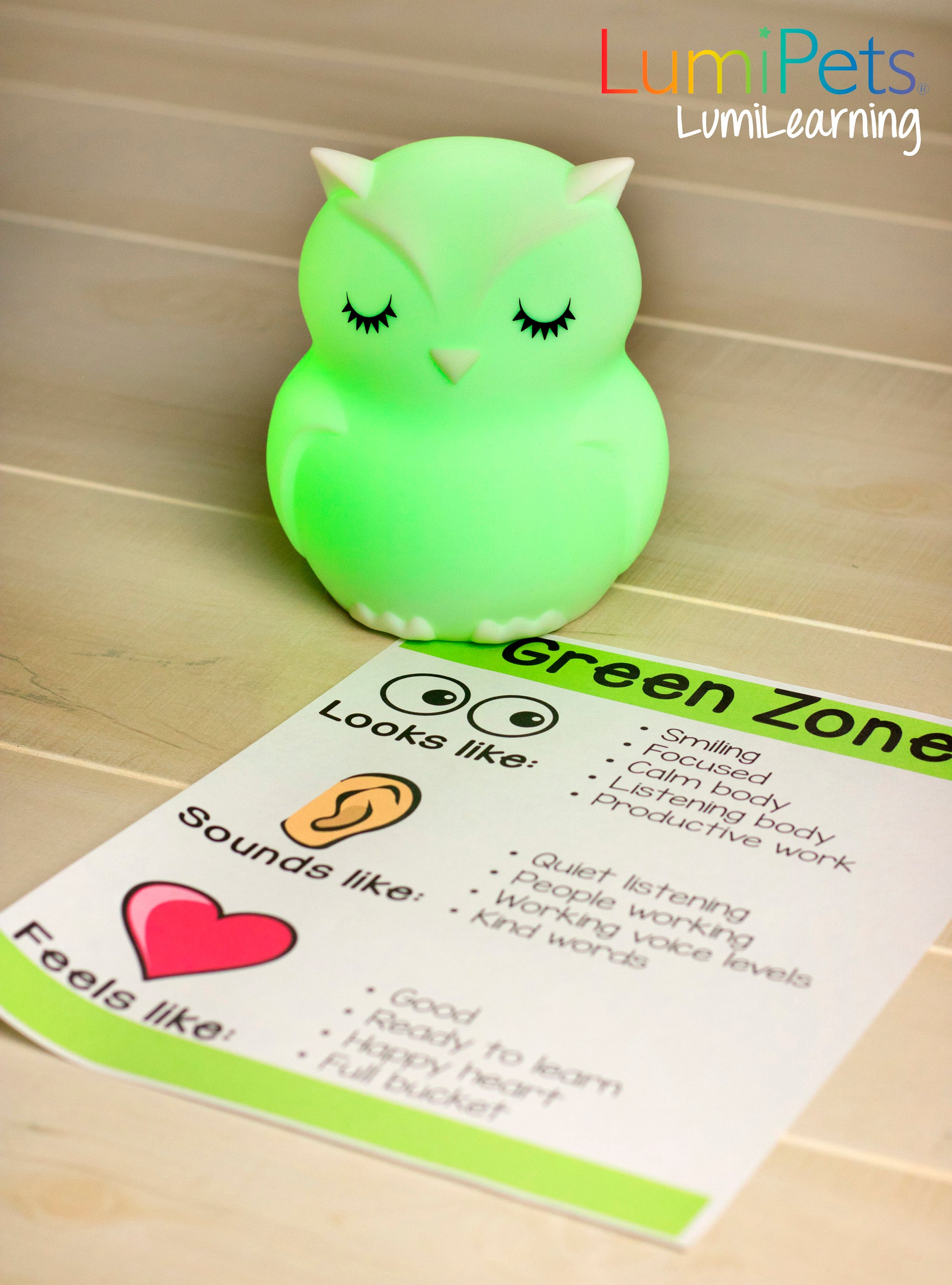 The Perfect Learning Companion