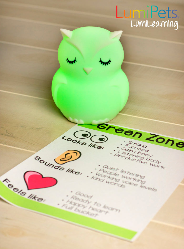 The Perfect Learning Companion